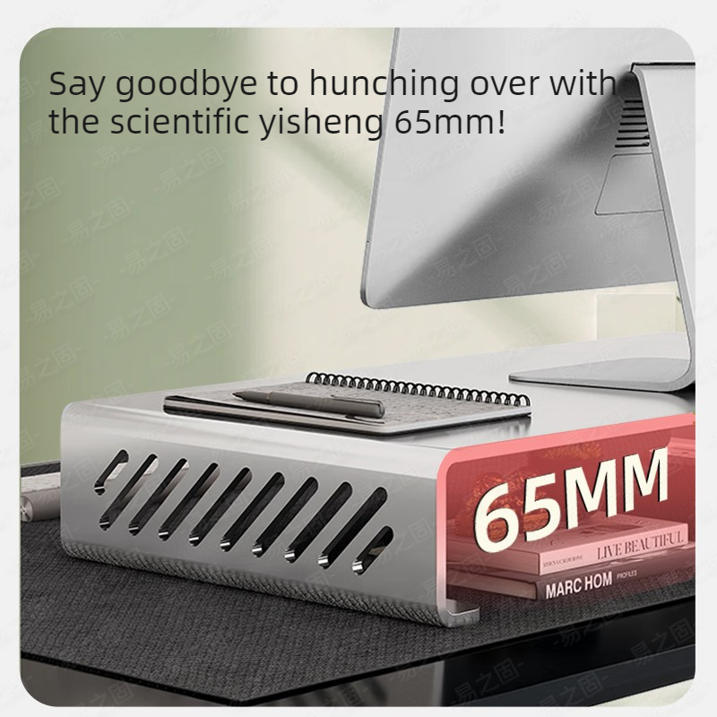 Computer Monitor Stand Riser E - Desk Setup With Laptop And Monitor 评论和价格