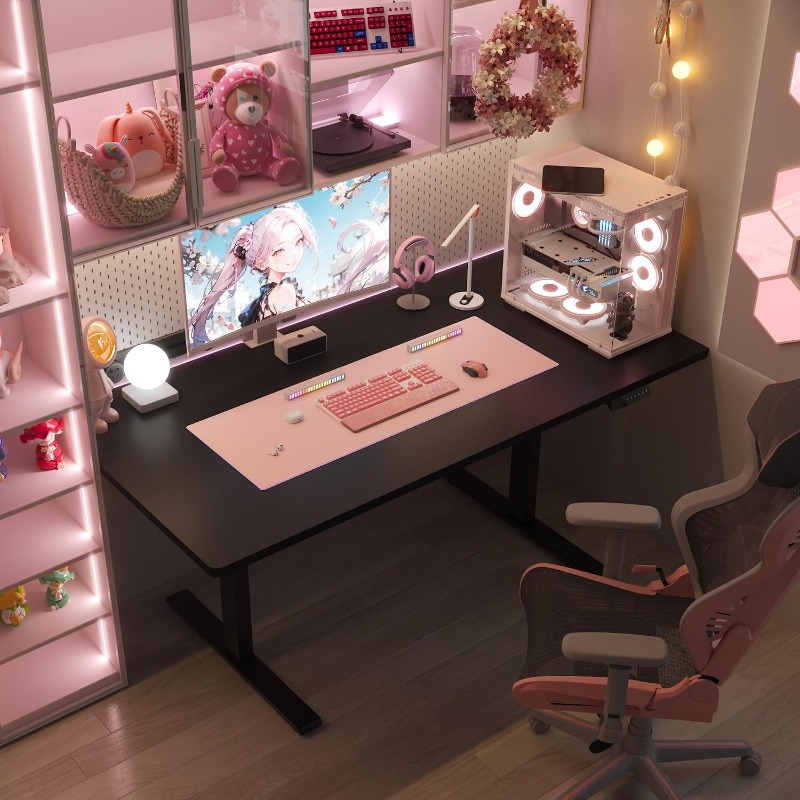 FLEXISPOT Electric Standing De - Dual Monitor Desk Setup 评论和价格