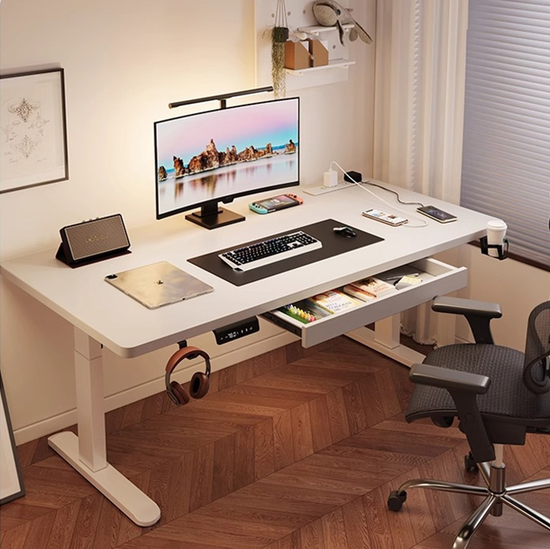 Modern Iron Dual Motor Electri - Dual Monitor Desk Setup 评论和价格