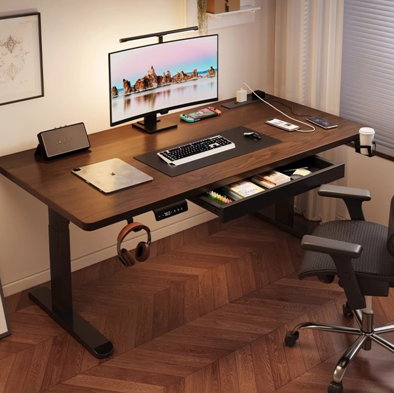 Modern Iron Dual Motor Electri - Dual Monitor Desk Setup 评论和价格